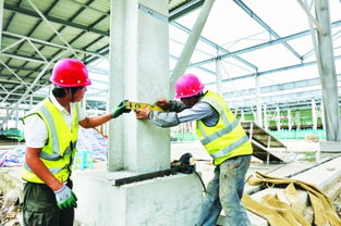 白云農創共享農副產品批發中心預計年底投用，建筑施工進展順利